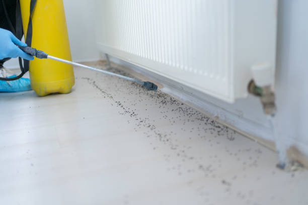 Best Commercial Pest Control Services  in Silver Bay, MN