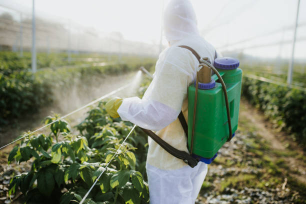 Silver Bay, MN Pest Control Company